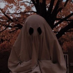 Meet your Posher, Kylee